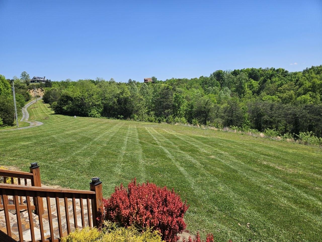 Large property mowed with precise stripe pattern