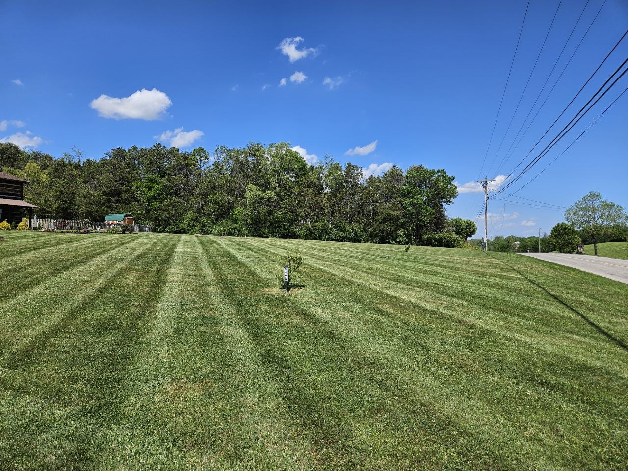 Residential lawn with perfect mowing stripes